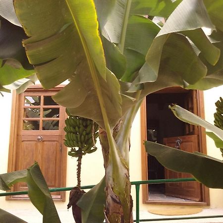 Casa Rural Llano Campo Hermigua Bagian luar foto